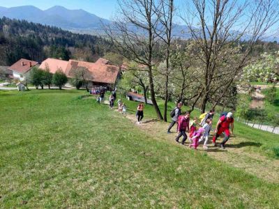 Kliknite za ogled večje slike