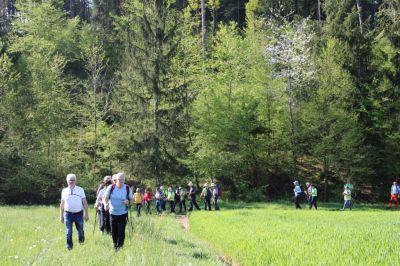 Kliknite za ogled večje slike