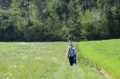 Kliknite za ogled večje slike