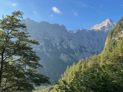 Kliknite za ogled večje slike