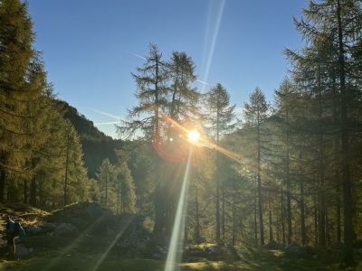 Kliknite za ogled večje slike