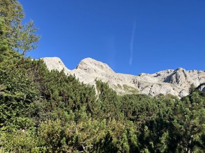 Kliknite za ogled večje slike