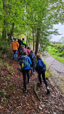 Kliknite za ogled večje slike