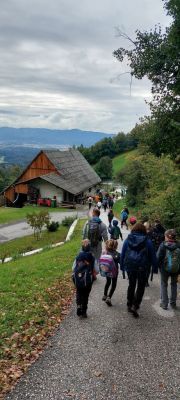 Kliknite za ogled večje slike