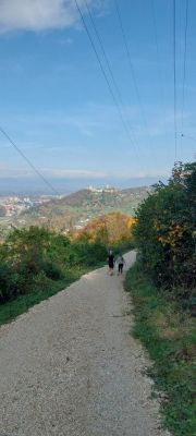 Kliknite za ogled večje slike