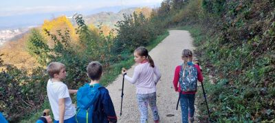 Kliknite za ogled večje slike