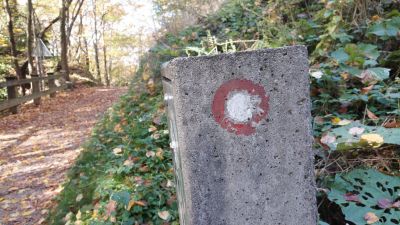 Kliknite za ogled večje slike