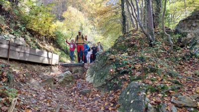 Kliknite za ogled večje slike