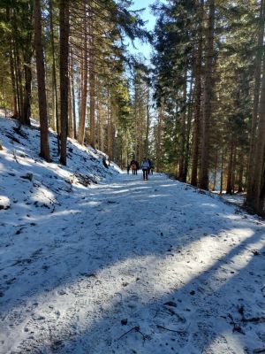 Kliknite za ogled večje slike