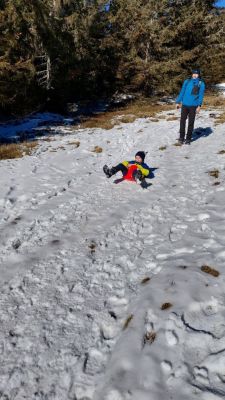 Kliknite za ogled večje slike