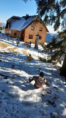 Kliknite za ogled večje slike