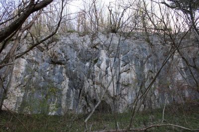 Kliknite za ogled večje slike
