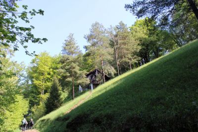 Kliknite za ogled večje slike