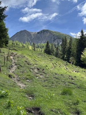 Kliknite za ogled večje slike