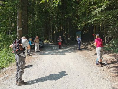 Kliknite za ogled večje slike