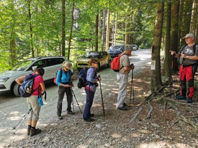 Kliknite za ogled večje slike