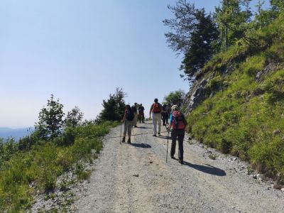 Kliknite za ogled večje slike