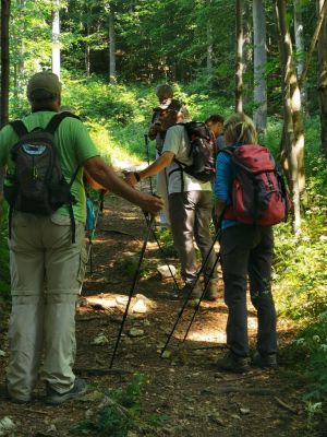 Kliknite za ogled večje slike