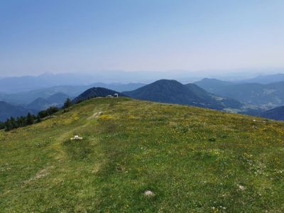 Kliknite za ogled večje slike