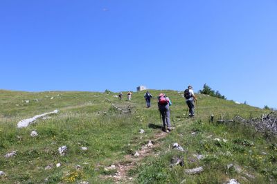 Kliknite za ogled večje slike