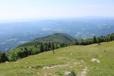 Kliknite za ogled večje slike