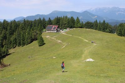 Kliknite za ogled večje slike