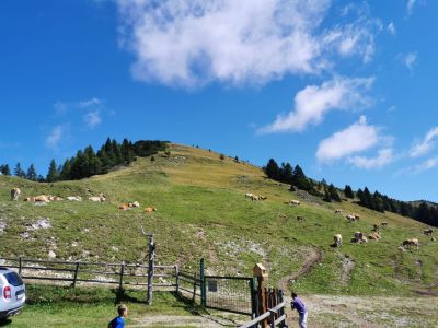 Kliknite za ogled večje slike