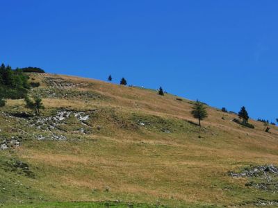 Kliknite za ogled večje slike