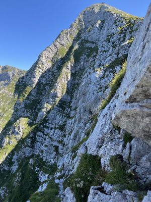 Kliknite za ogled večje slike