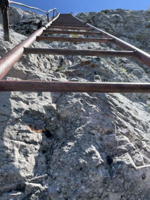 Kliknite za ogled večje slike