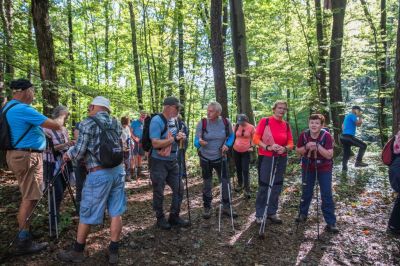 Kliknite za ogled večje slike