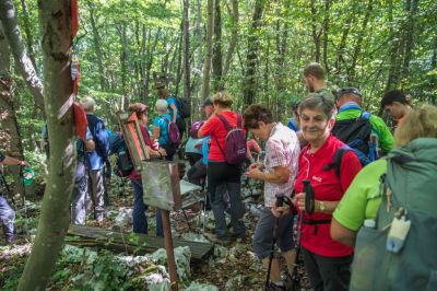 Kliknite za ogled večje slike