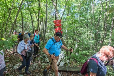 Kliknite za ogled večje slike