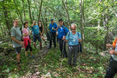 Kliknite za ogled večje slike