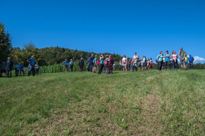 Kliknite za ogled večje slike