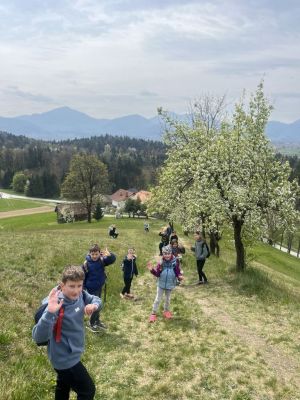 Kliknite za ogled večje slike