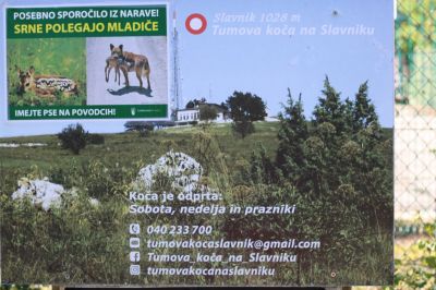 Kliknite za ogled večje slike