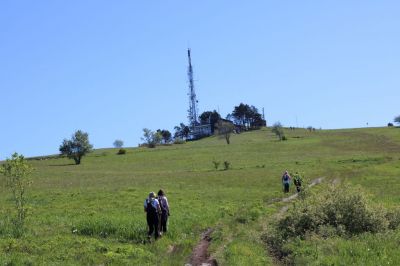 Kliknite za ogled večje slike