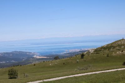 Kliknite za ogled večje slike