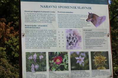 Kliknite za ogled večje slike