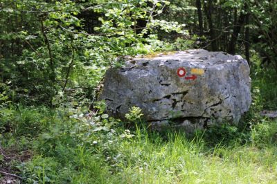 Kliknite za ogled večje slike