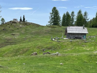 Kliknite za ogled večje slike