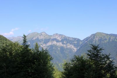 Kliknite za ogled večje slike