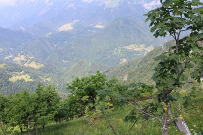 Kliknite za ogled večje slike