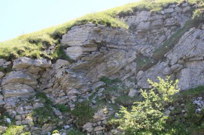 Kliknite za ogled večje slike