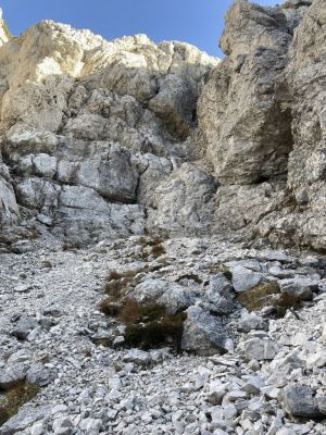 Kliknite za ogled večje slike