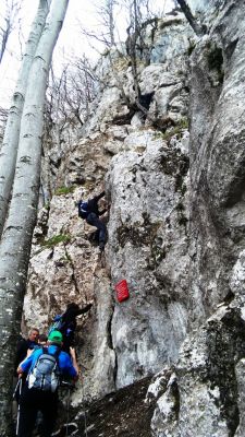 Kliknite za ogled večje slike