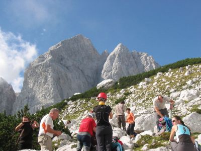 Kliknite za ogled večje slike