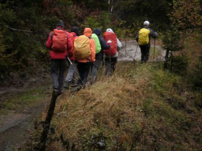 Kliknite za ogled večje slike