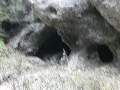 Kliknite za ogled večje slike